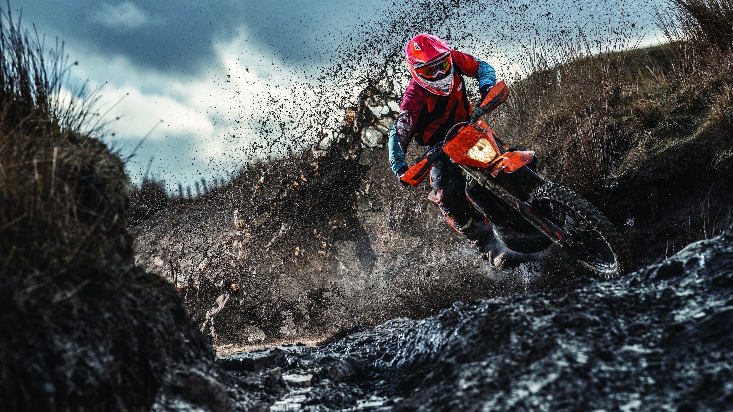 篮球赛场焦点！西班牙队对阵荷兰队，历史性突破，球队首次挺进决赛